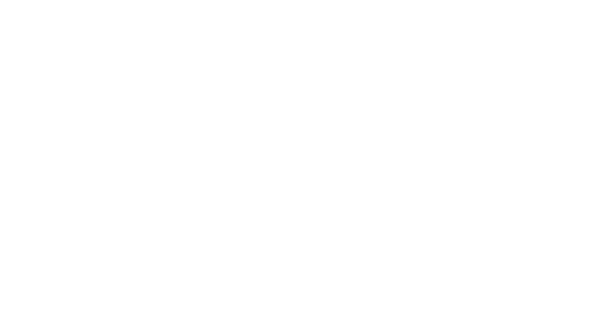 Török Tanárod